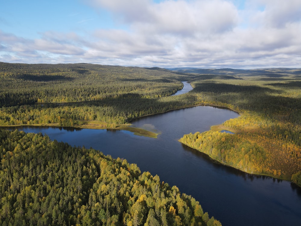 an aerial view of a lake surrounded by trees