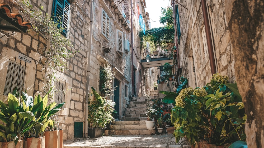 a narrow alleyway with potted plants on either side