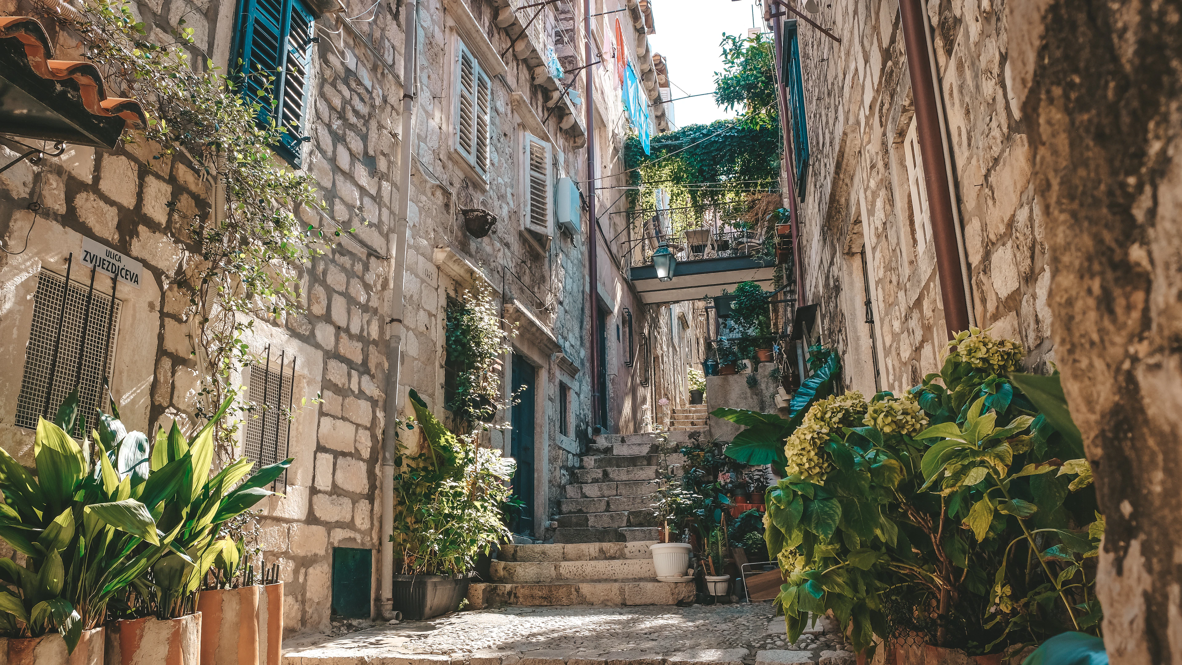 A stepped stone lane climbing through Dubrovnik's Old Town in dappled midday sun, potted palms and ferns crowding the worn limestone steps between houses with blue louvred shutters.