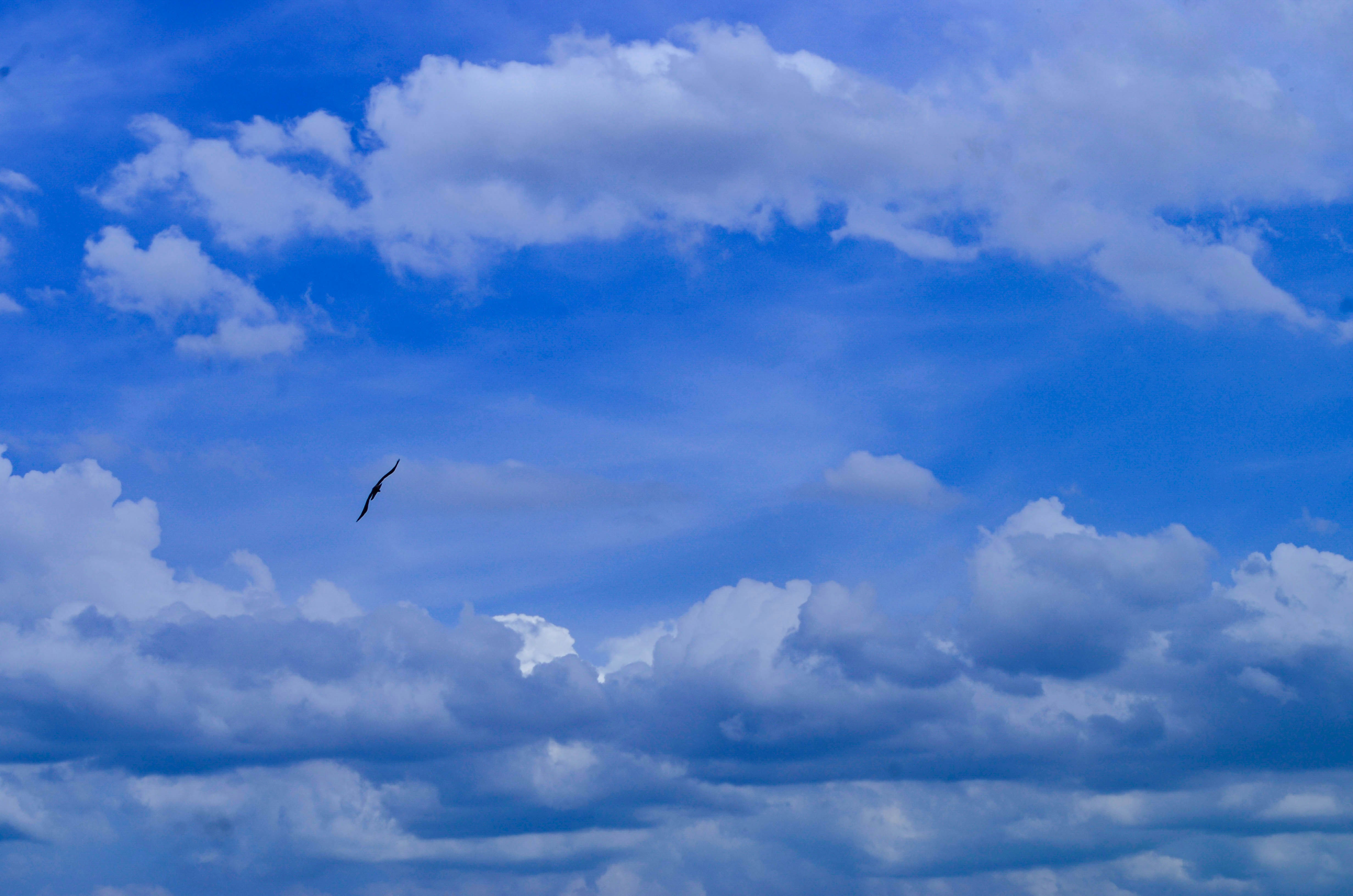 Photo by raju_christopher