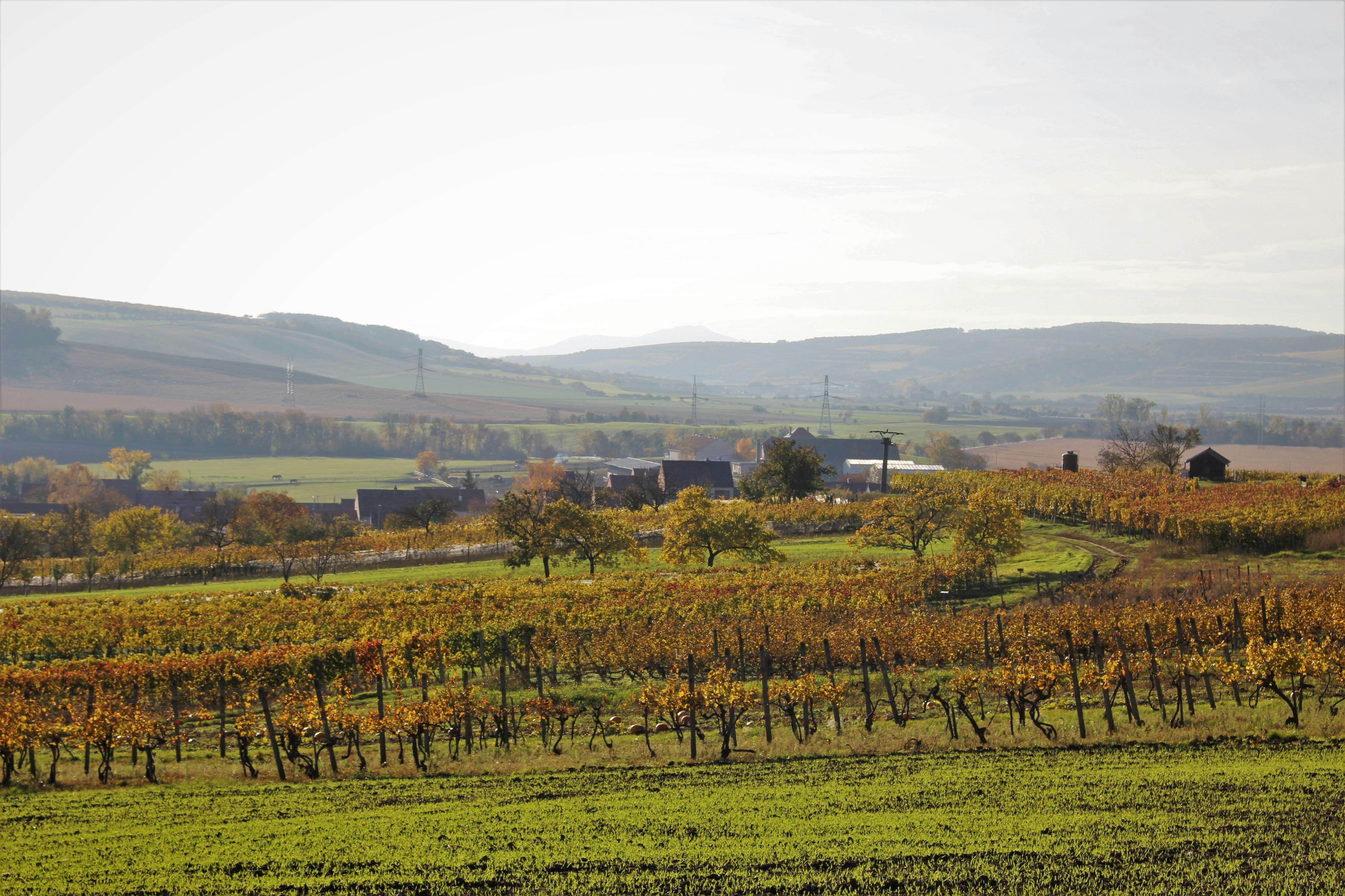 Photo by marjorylucabaxter