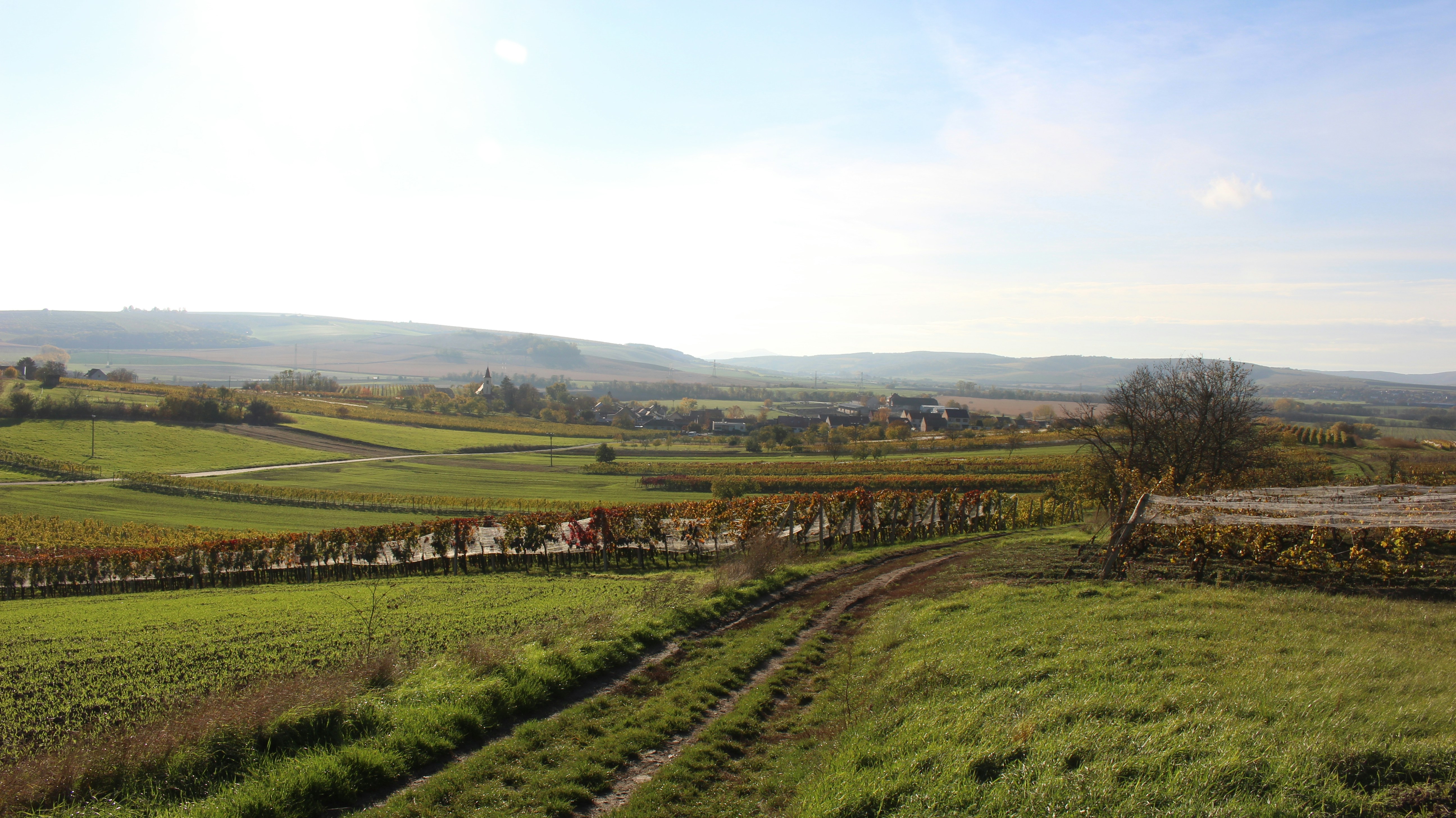 Photo by marjorylucabaxter