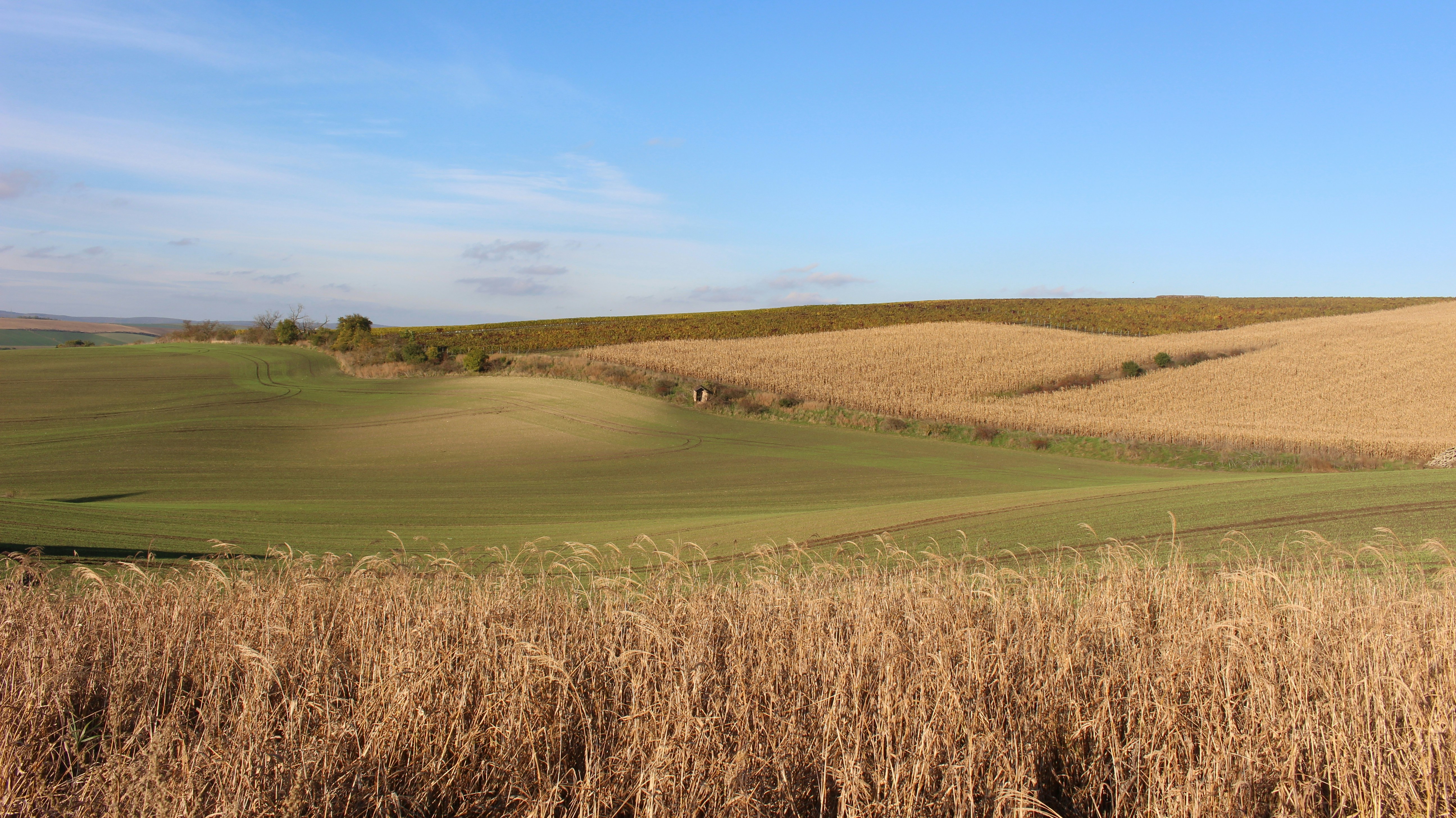 Photo by marjorylucabaxter