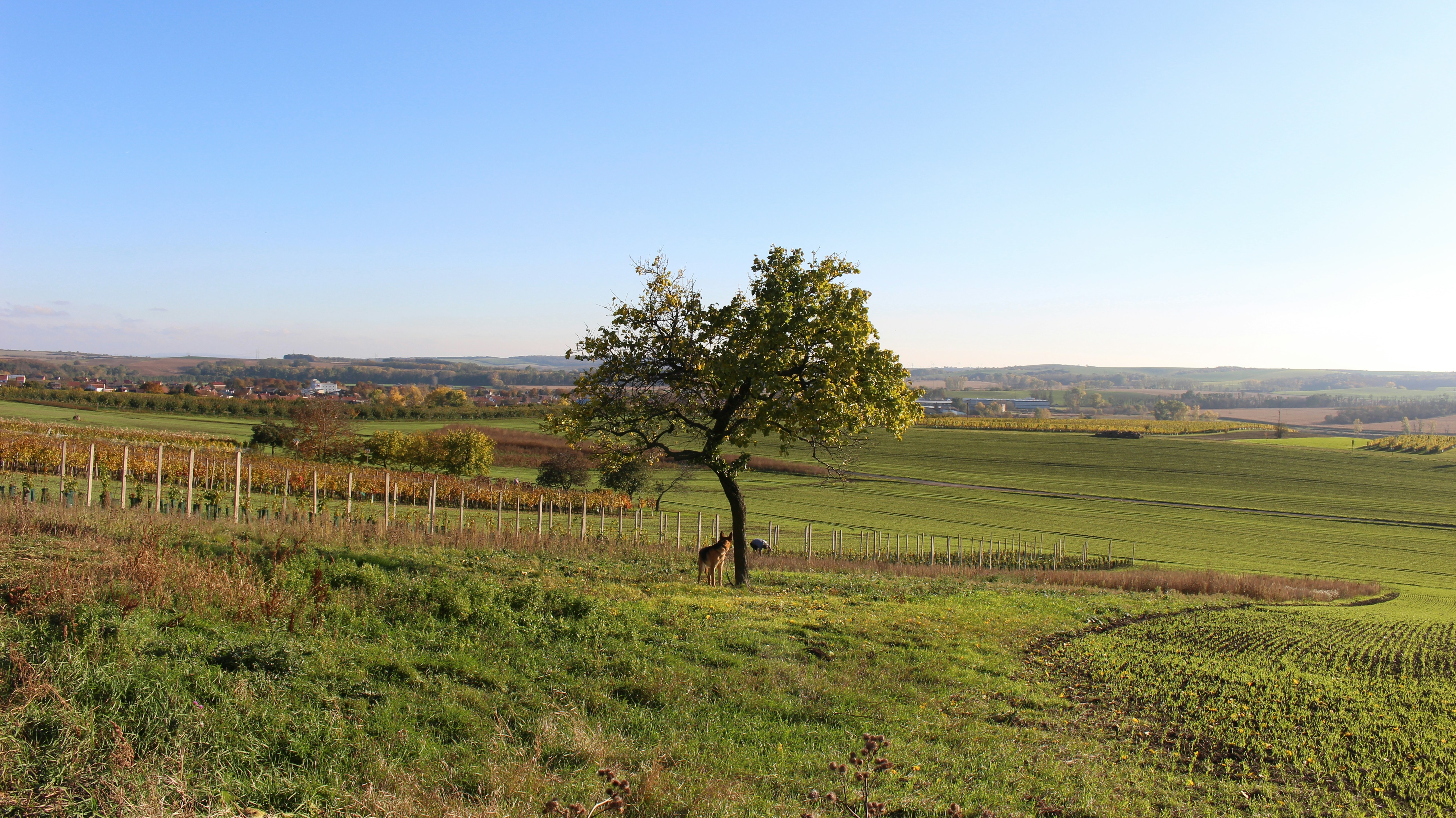 Photo by marjorylucabaxter