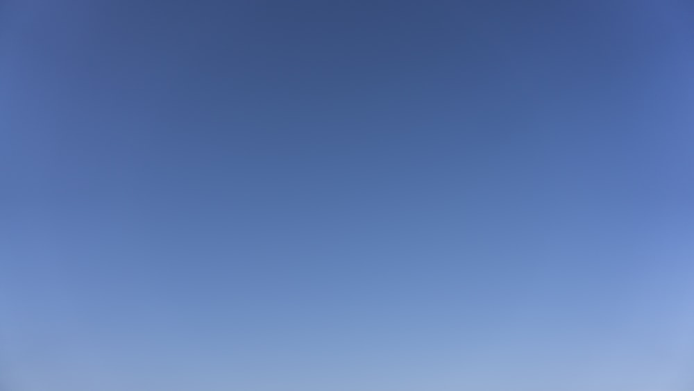 a group of people standing on top of a sandy beach