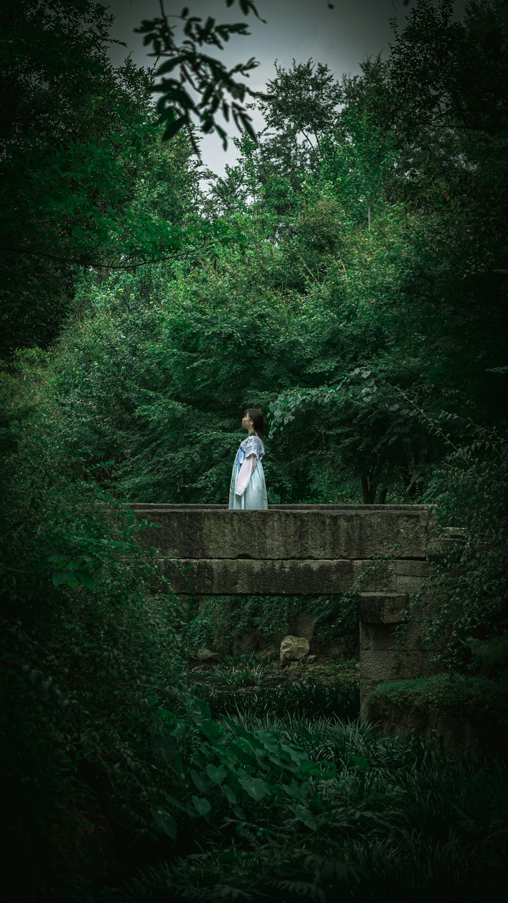 a woman standing on a bridge in the middle of a forest