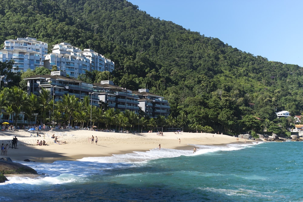 a beach with a mountain in the background