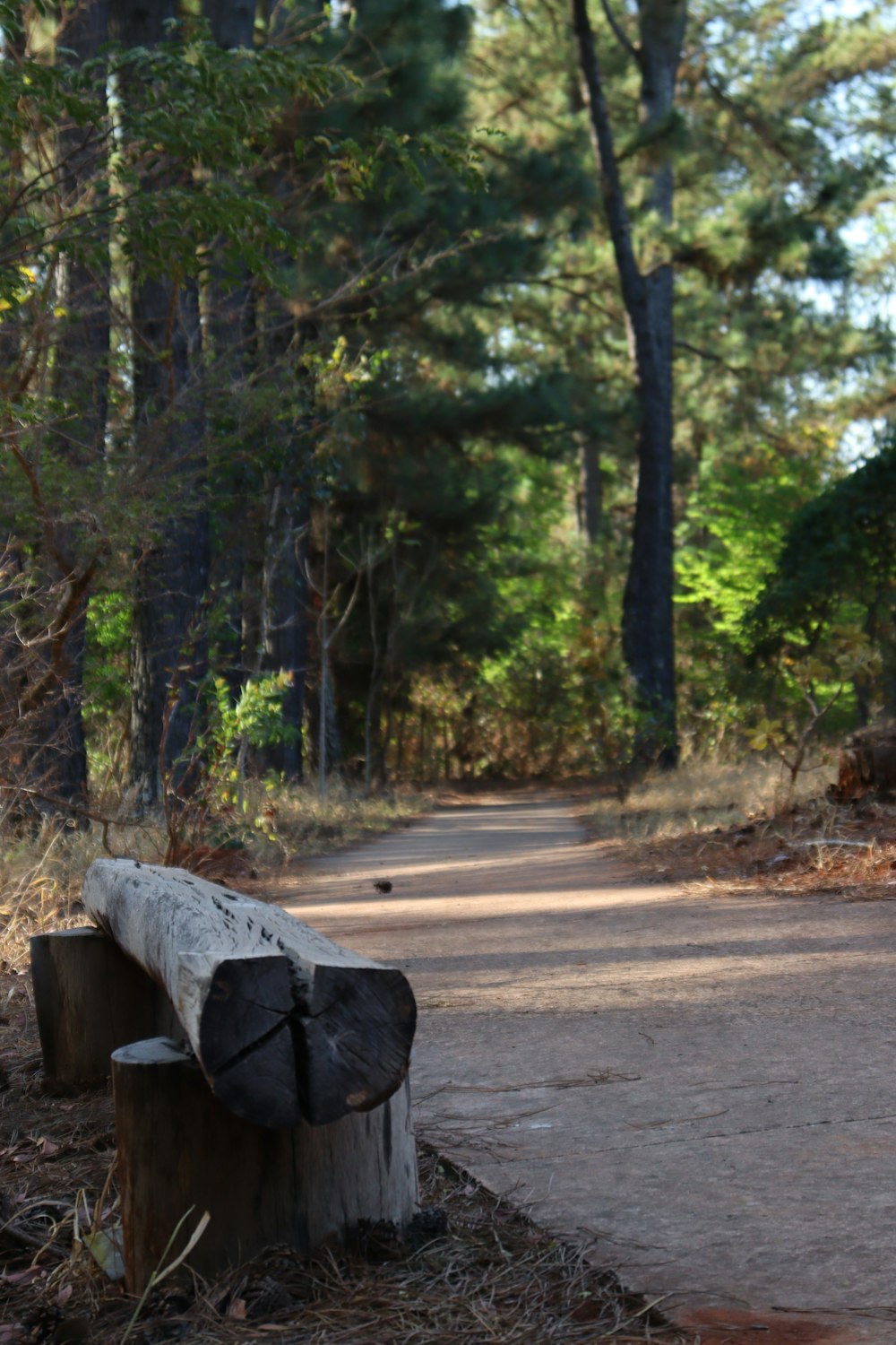 a wooden bench sitting on the side of a road