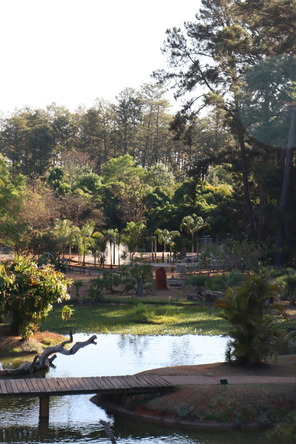 a wooden bridge over a small pond in a park