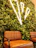 A modern rooftop garden with vibrant plants and comfortable seating under soft lighting.
