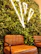 A modern rooftop garden with vibrant plants and comfortable seating under soft lighting.