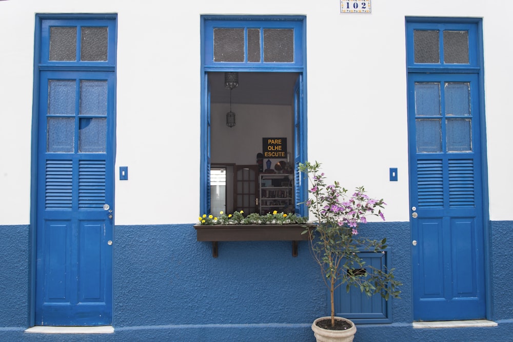 a blue and white building with blue shutters and a potted plant