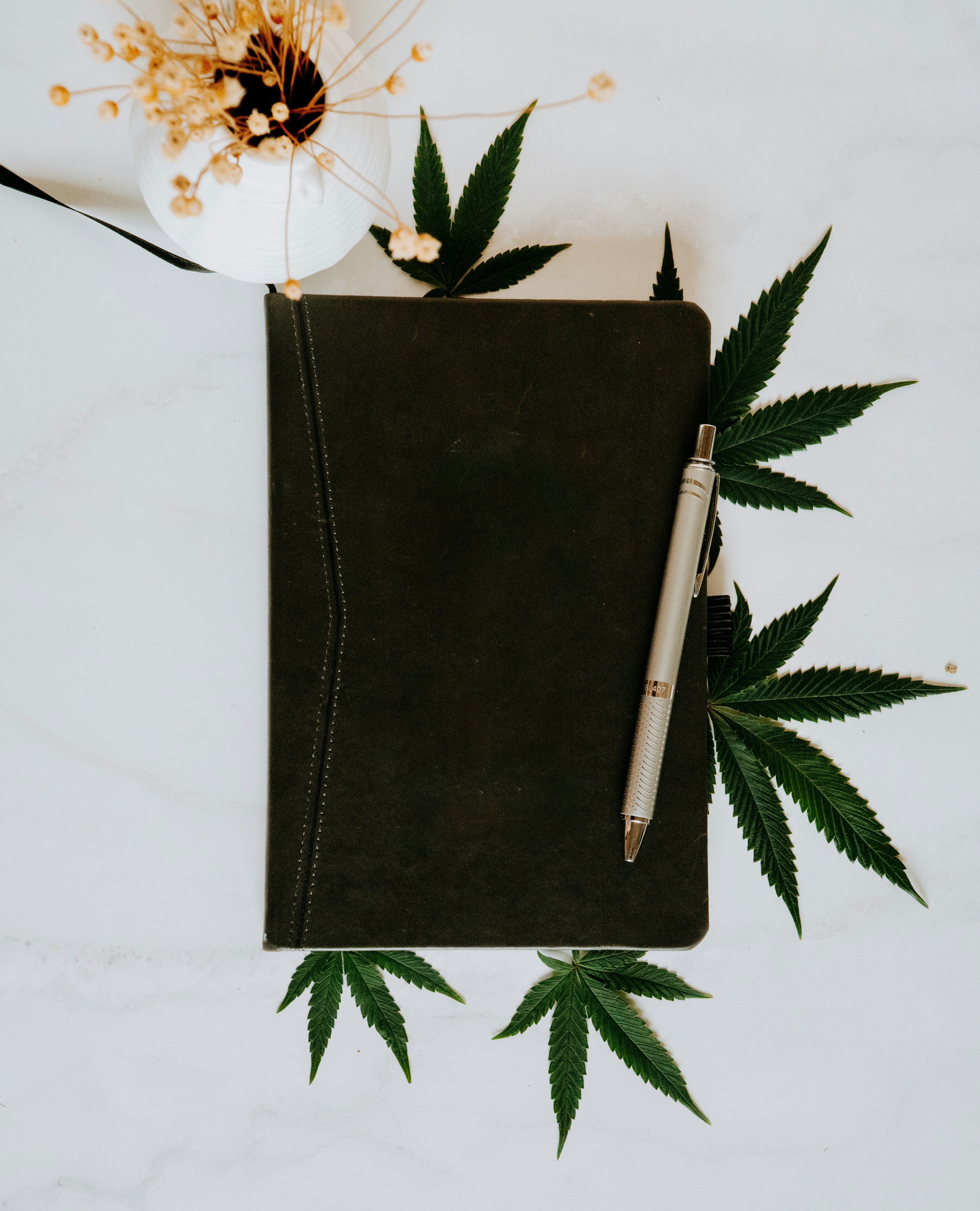 Photo by shelbyirelandphotography