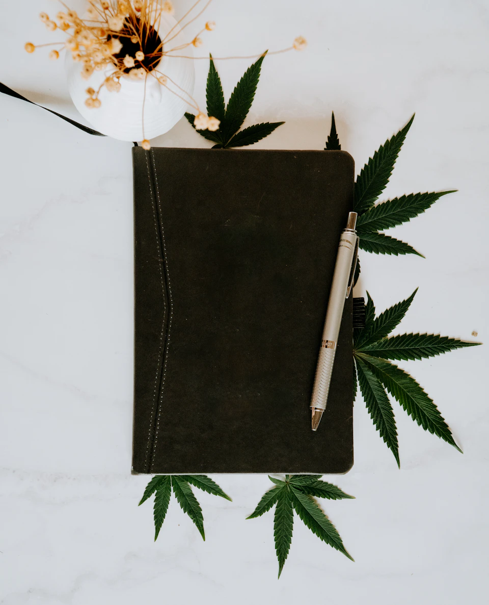 The image shows a black notebook with a silver pen resting on top, surrounded by green leaves and flowers. The notebook is open to a blank page, suggesting it's ready for use or has been recently used. The pen lies next to the notebook, indicating that someone was writing or planning something in this space. The scene is set against a white background, which highlights the colors of the notebook, pen, and leaves.