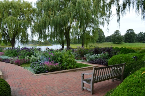 A serene garden scene with a wooden bench on a brick pathway surrounded by lush greenery and colorful flowers. Two large willow trees frame the background, with a serene lake and distant trees visible beyond. The mixture of plants includes purple, pink, and various shades of green foliage, creating a tranquil atmosphere.