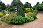 a garden filled with lots of different types of flowers