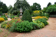 a garden filled with lots of different types of flowers
