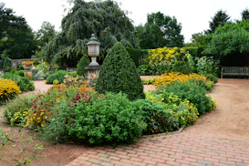 a garden filled with lots of different types of flowers