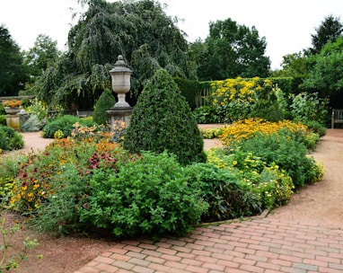 a garden filled with lots of different types of flowers