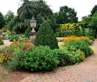 a garden filled with lots of different types of flowers