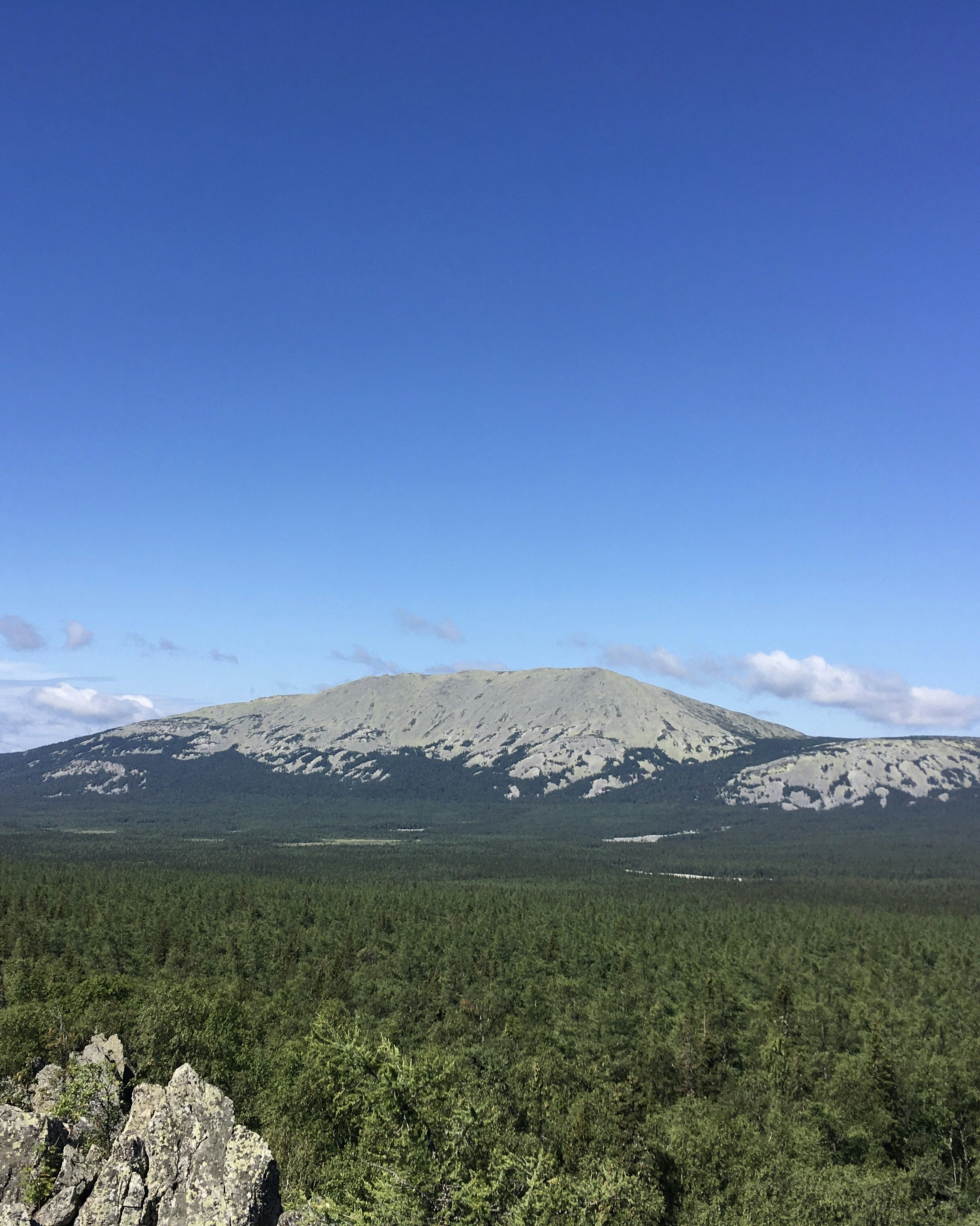 眼下に森のある山の眺め