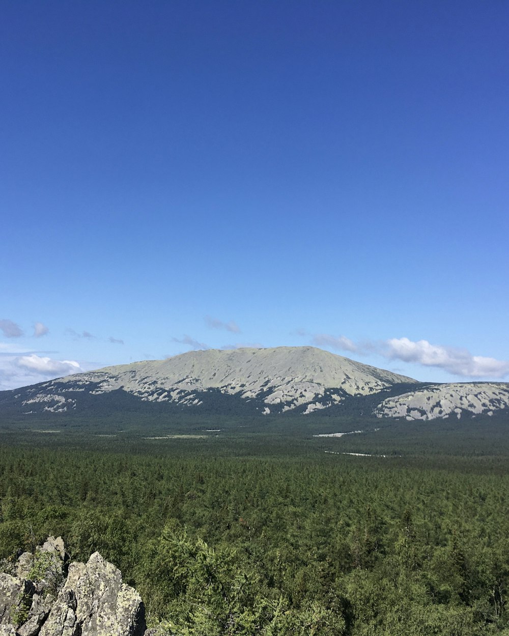 a view of a mountain with a forest below