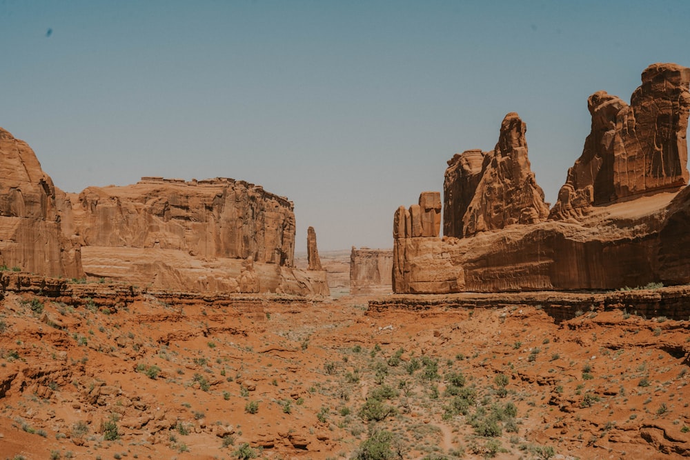 岩や植物を前景にした砂漠の風景