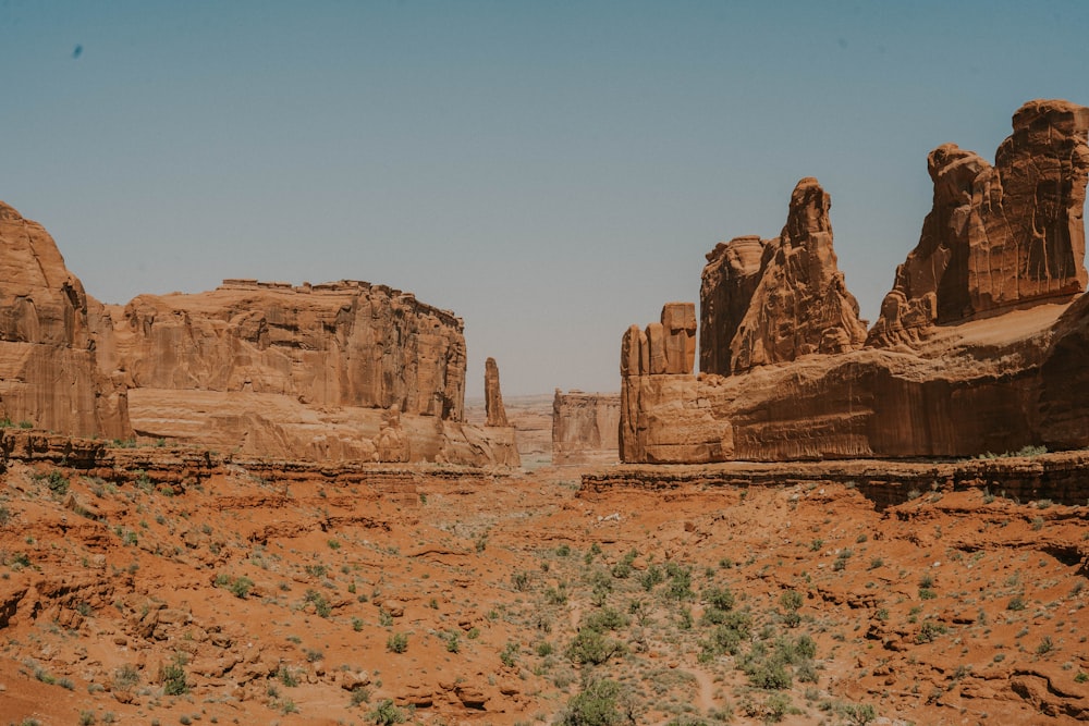 a desert landscape with rocks and plants in the foreground