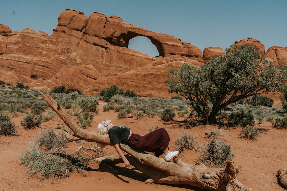 a person laying on a tree branch in the desert