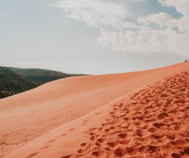 Pink Sand Dunes of Utah: A Journey Through Beauty