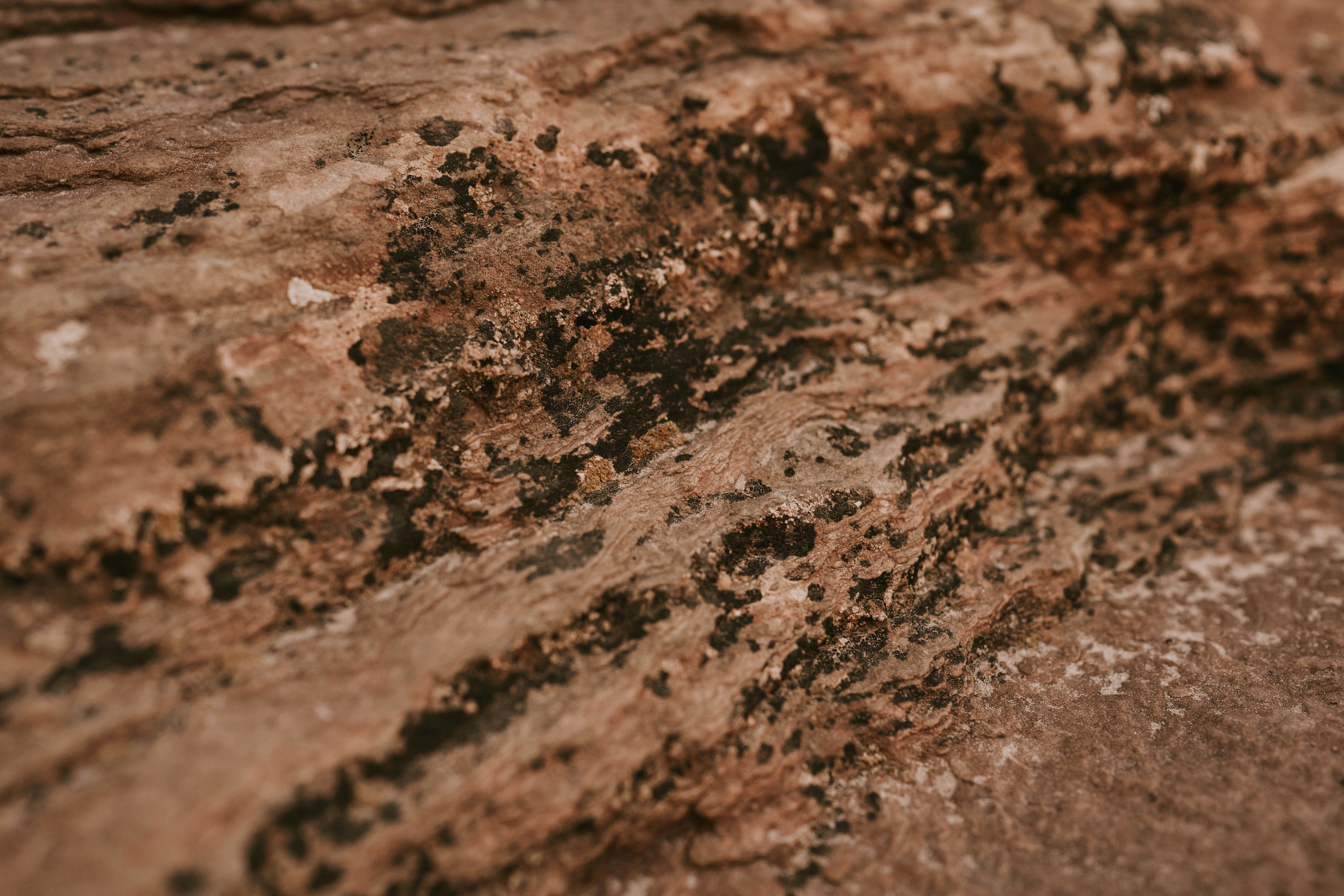a close up of a rock with dirt on it