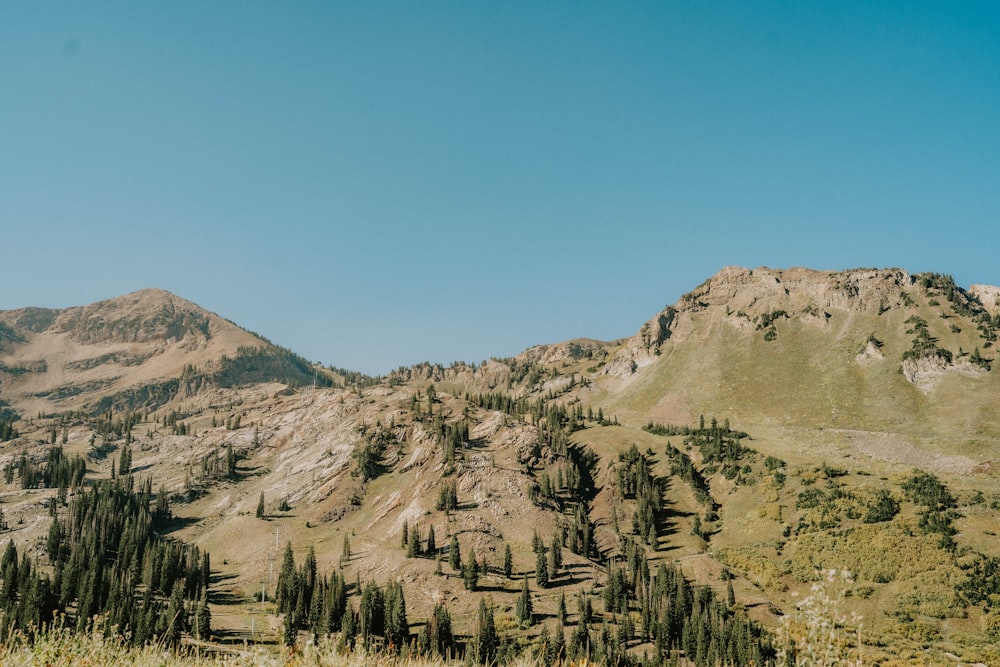 a view of a mountain range with trees in the foreground