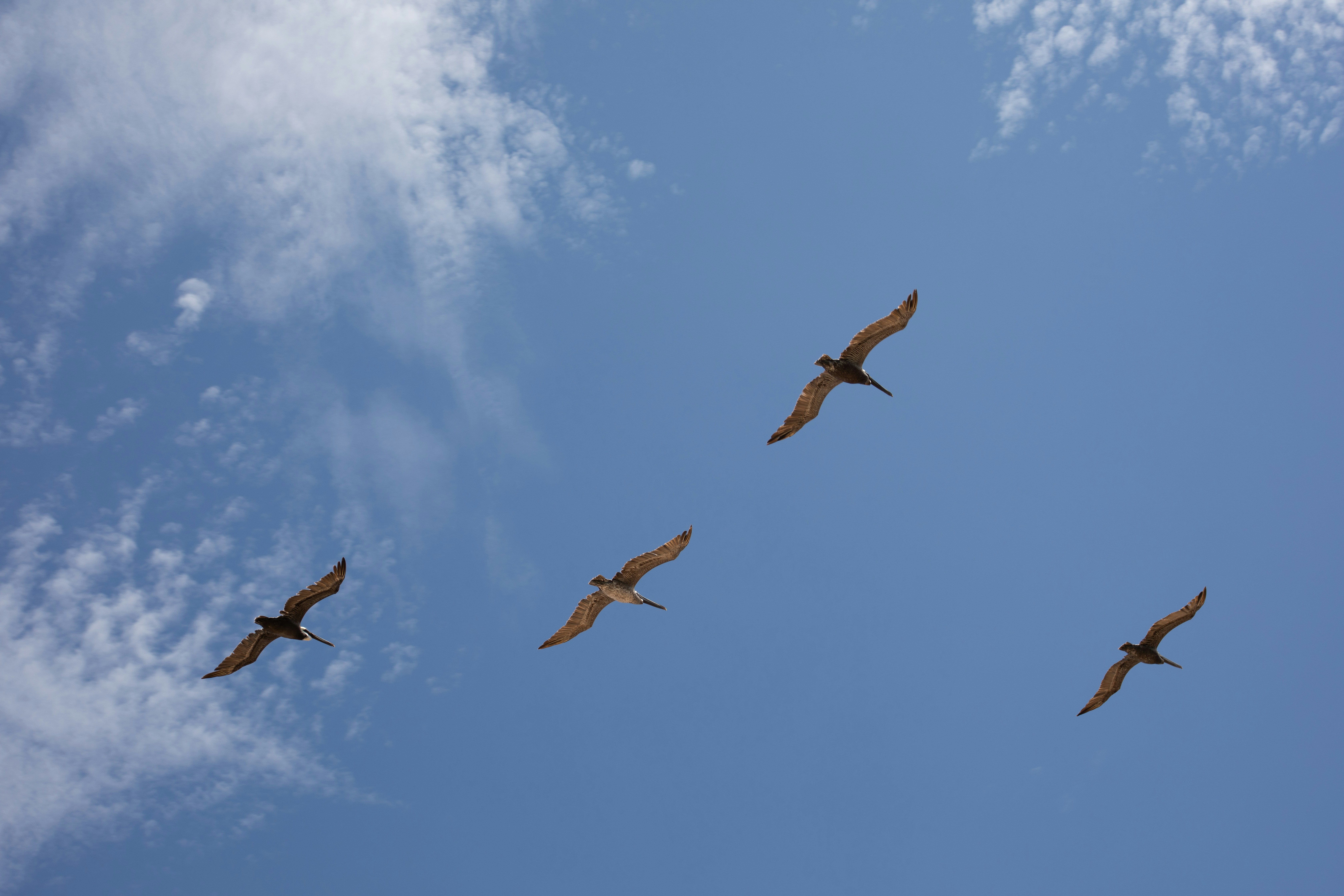 Photo by dpreacherdawn