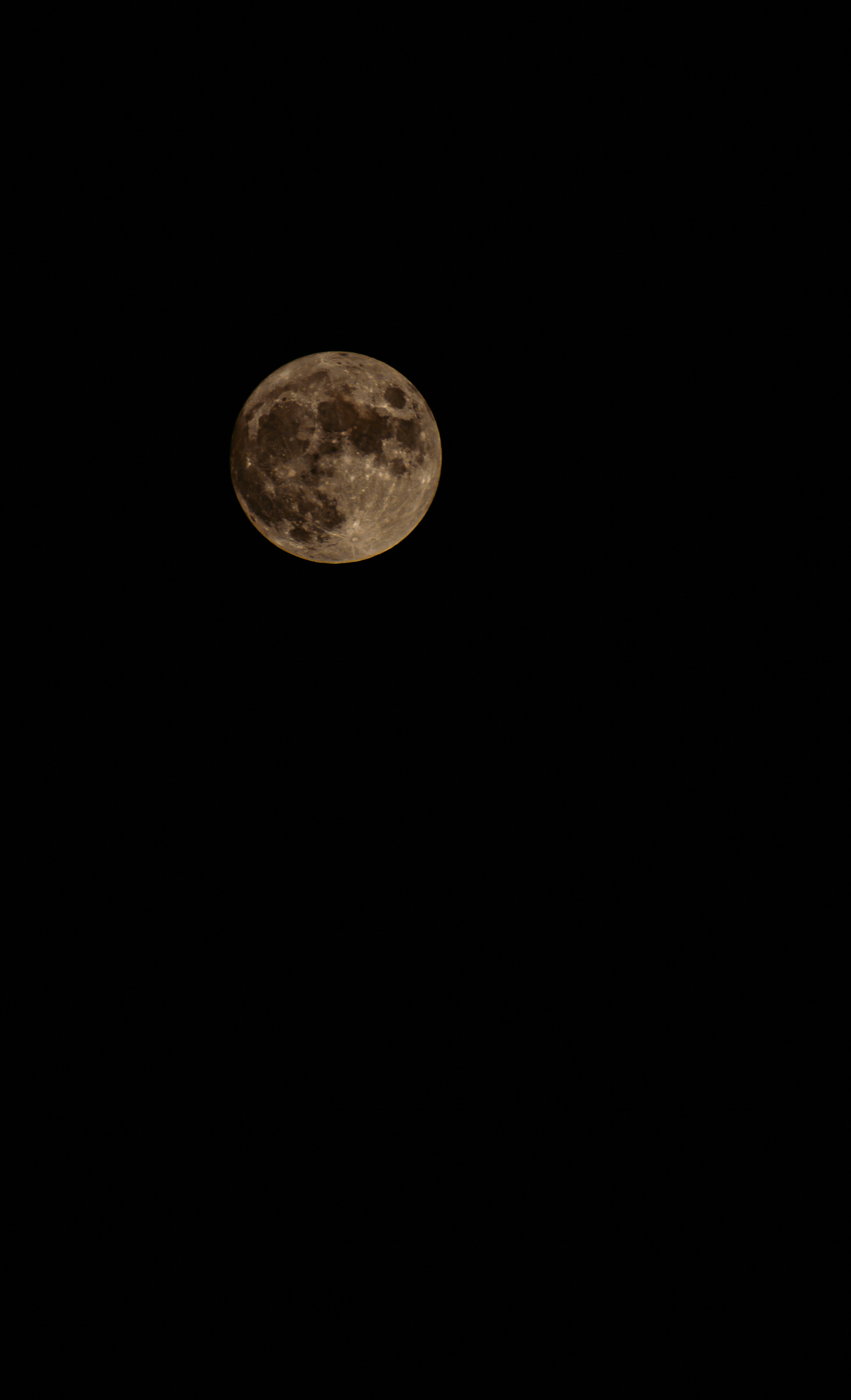 Photo by amr_taha