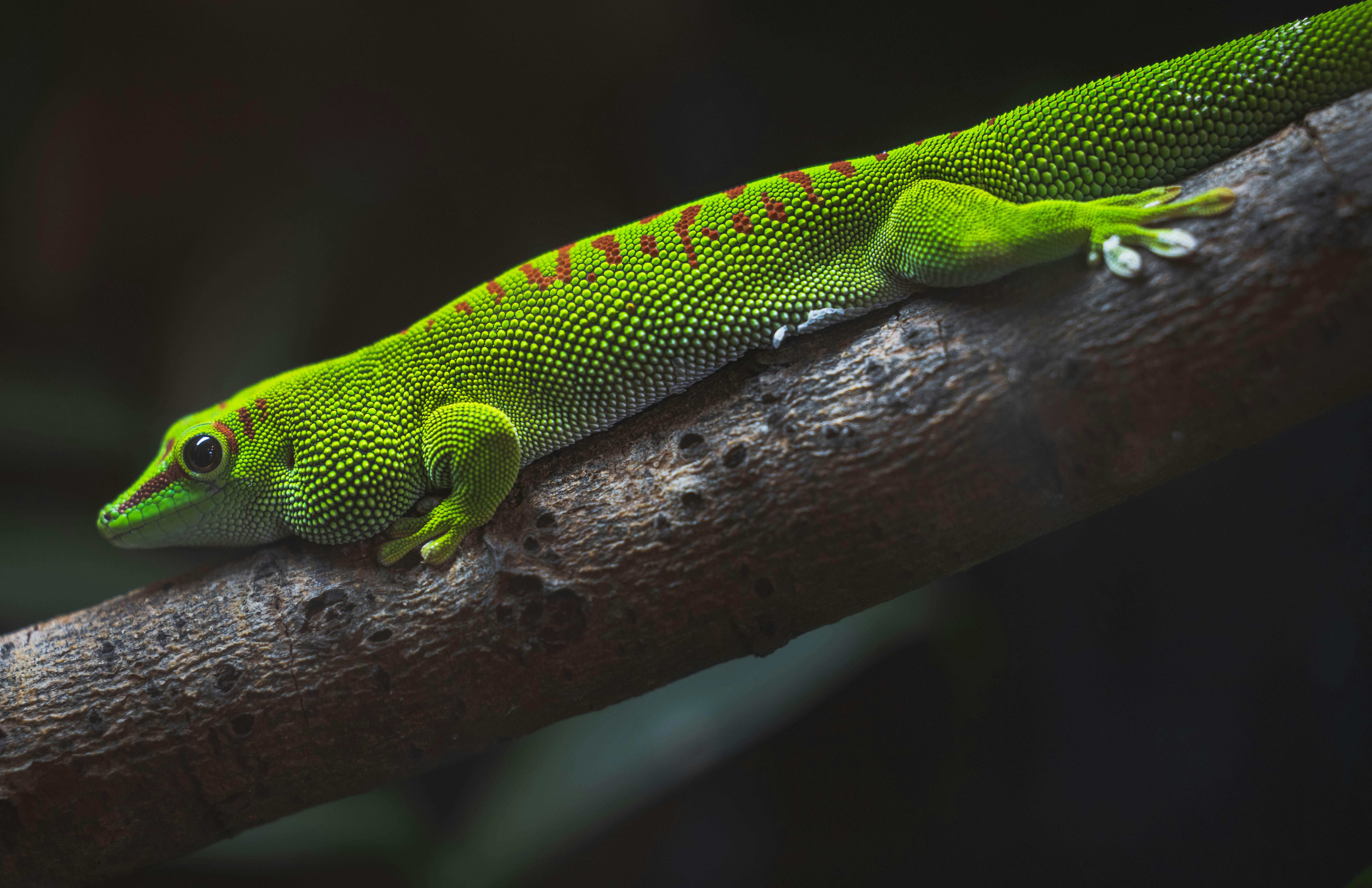 Photo by lukethorntonofficial