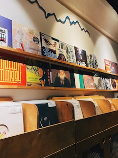 A collection of vinyl records displayed on wooden shelves, with album covers depicting various art styles and themes. The upper shelf holds a row of colorful album covers, while the lower shelf features records in plain sleeves organized in sections labeled with different music genres such as Deep House and Techno. Above the albums, a wavy line is painted on the wall as decorative art.