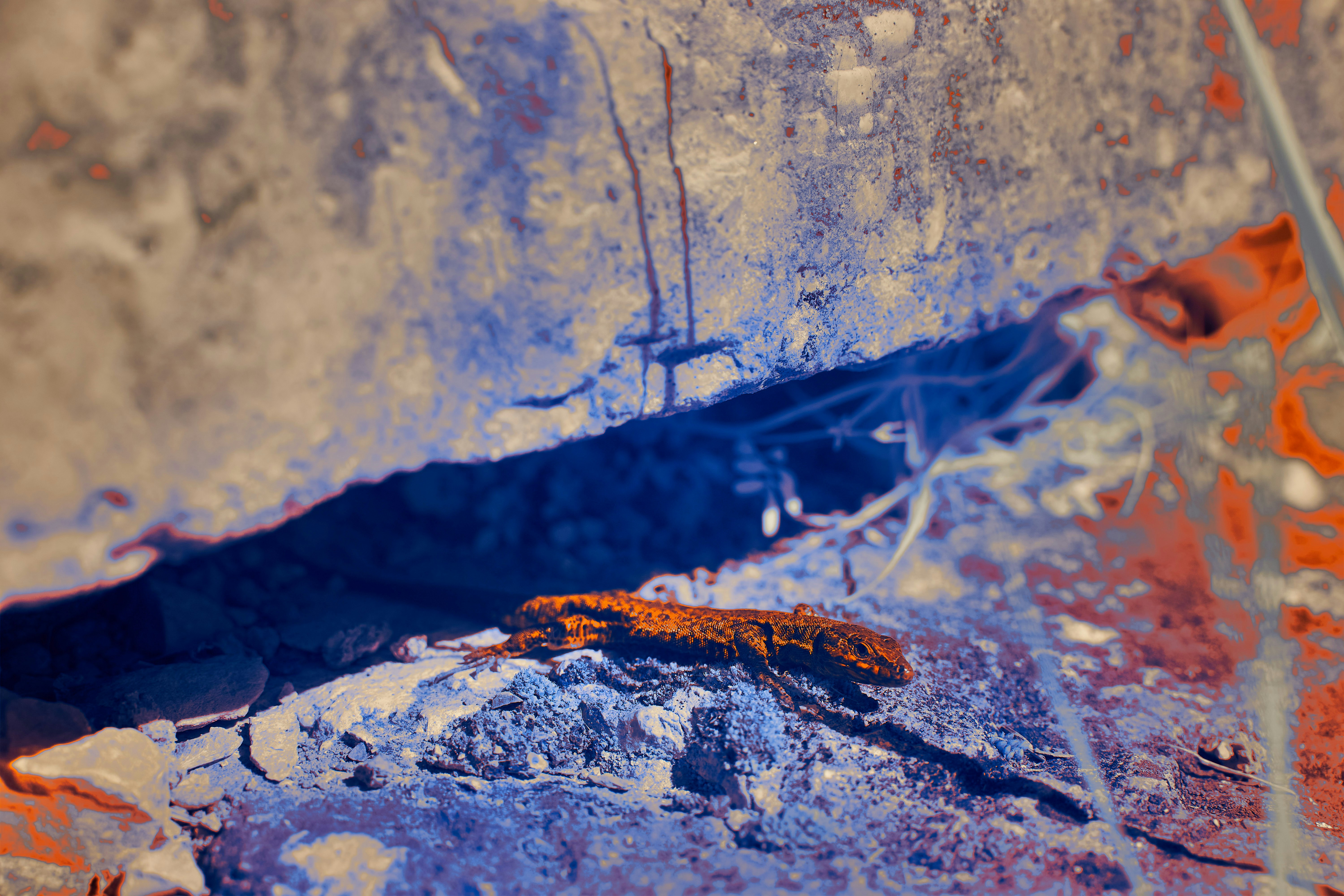 Photo by wolfgang_hasselmann