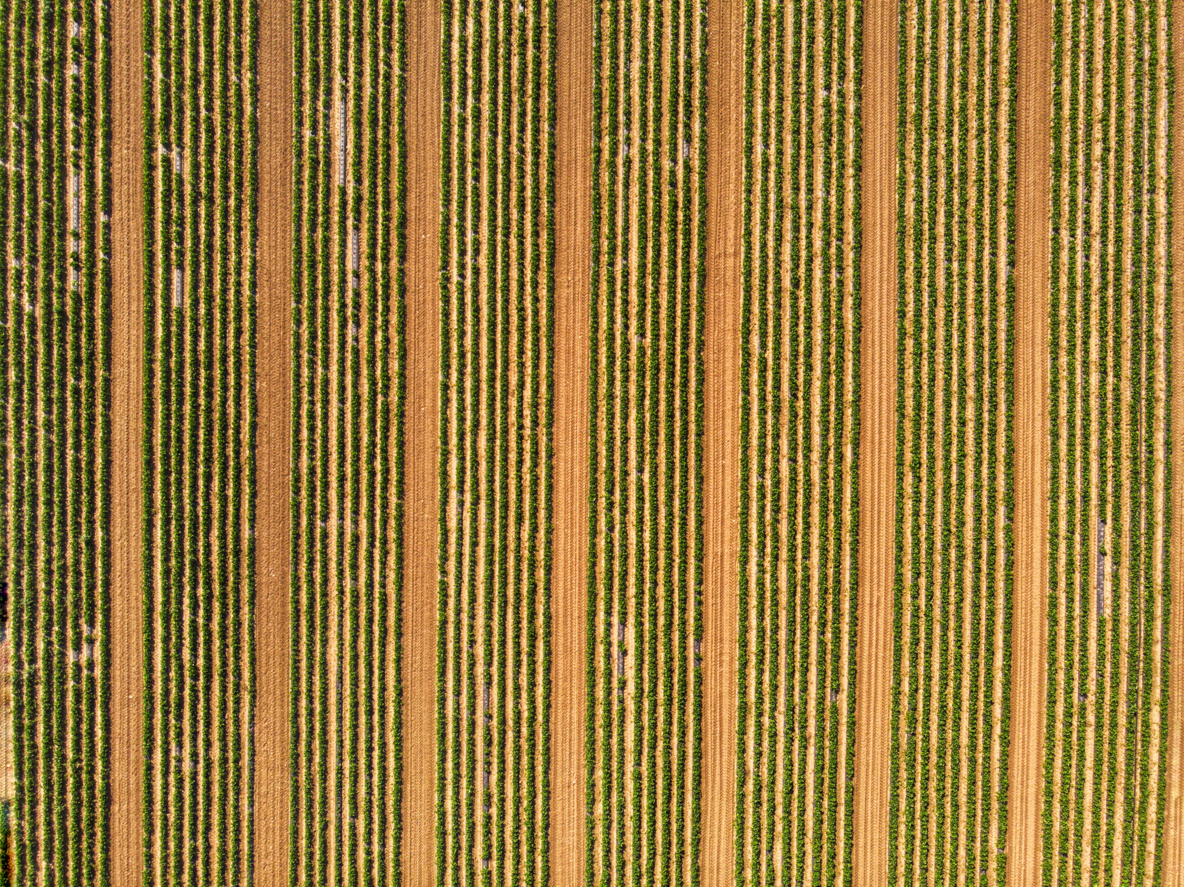 Parallelism vs Concurrency