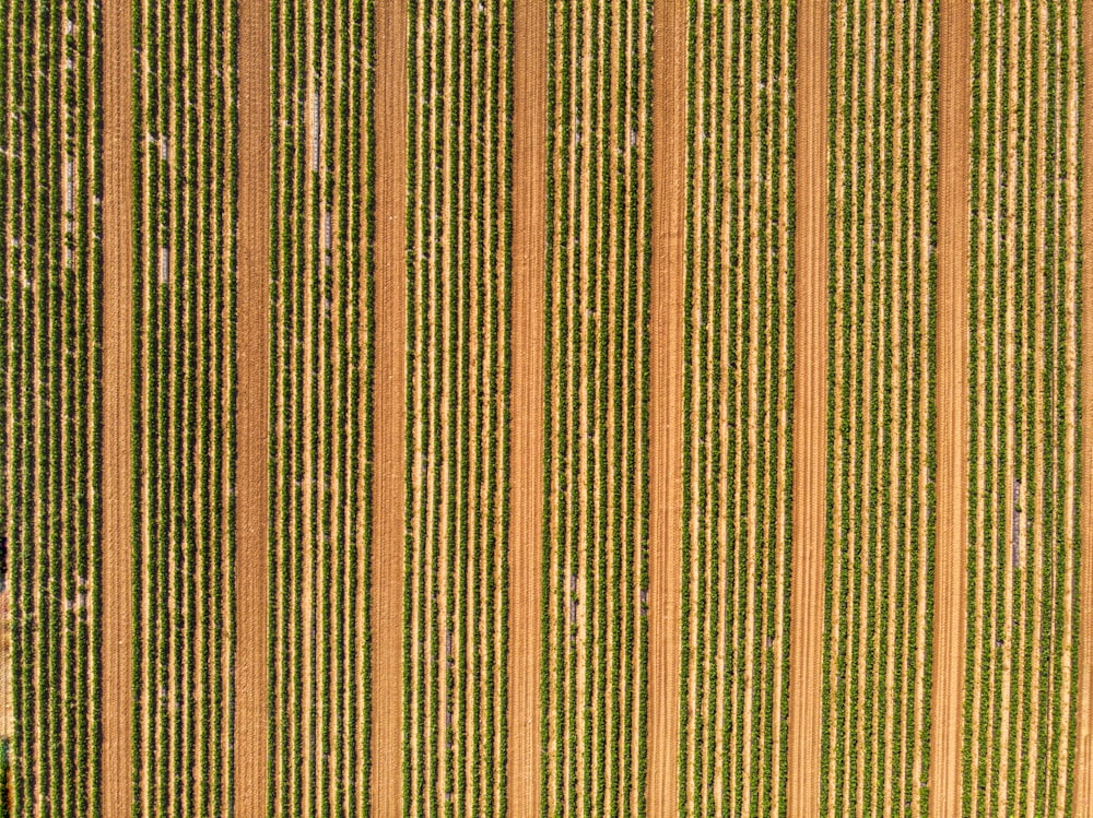 an aerial view of a plowed field