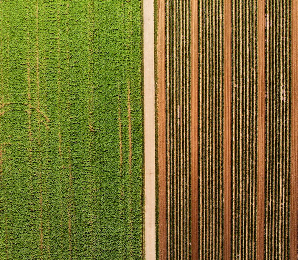 an aerial view of a green field and a brown field