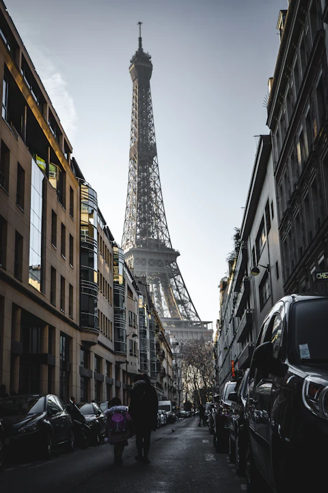 The Eiffel Tower rising above the rooftops of Paris