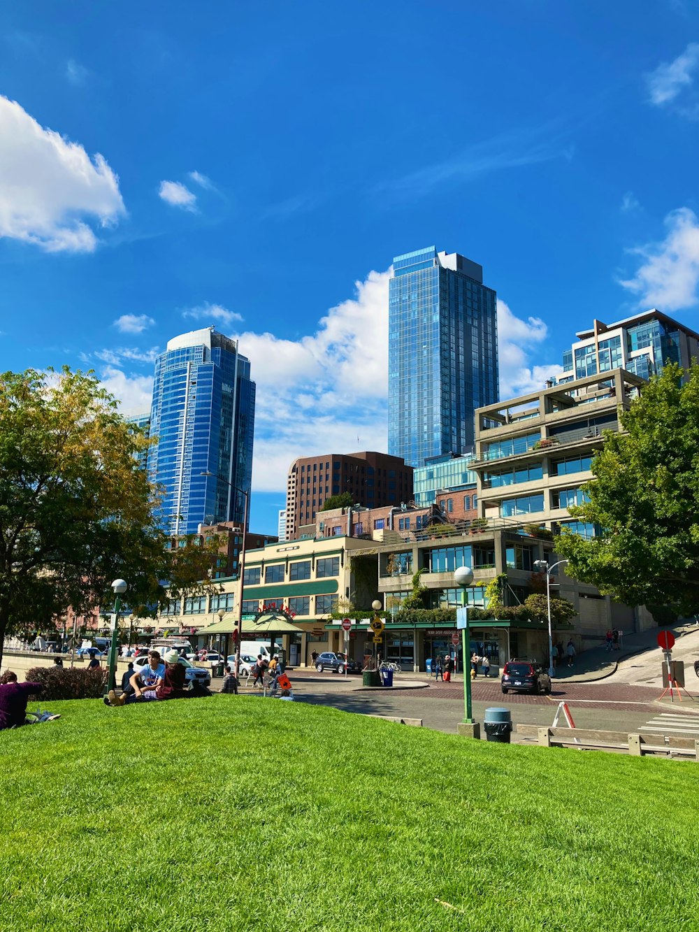 a grassy area in front of a city with tall buildings