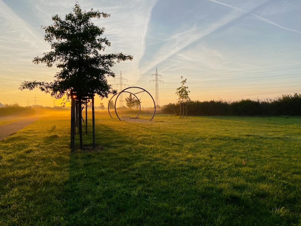 a field with a tree and a sculpture in the middle of it