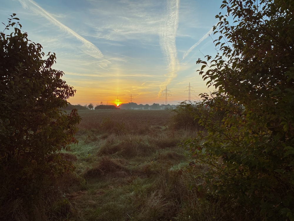 the sun is setting over a field with trees