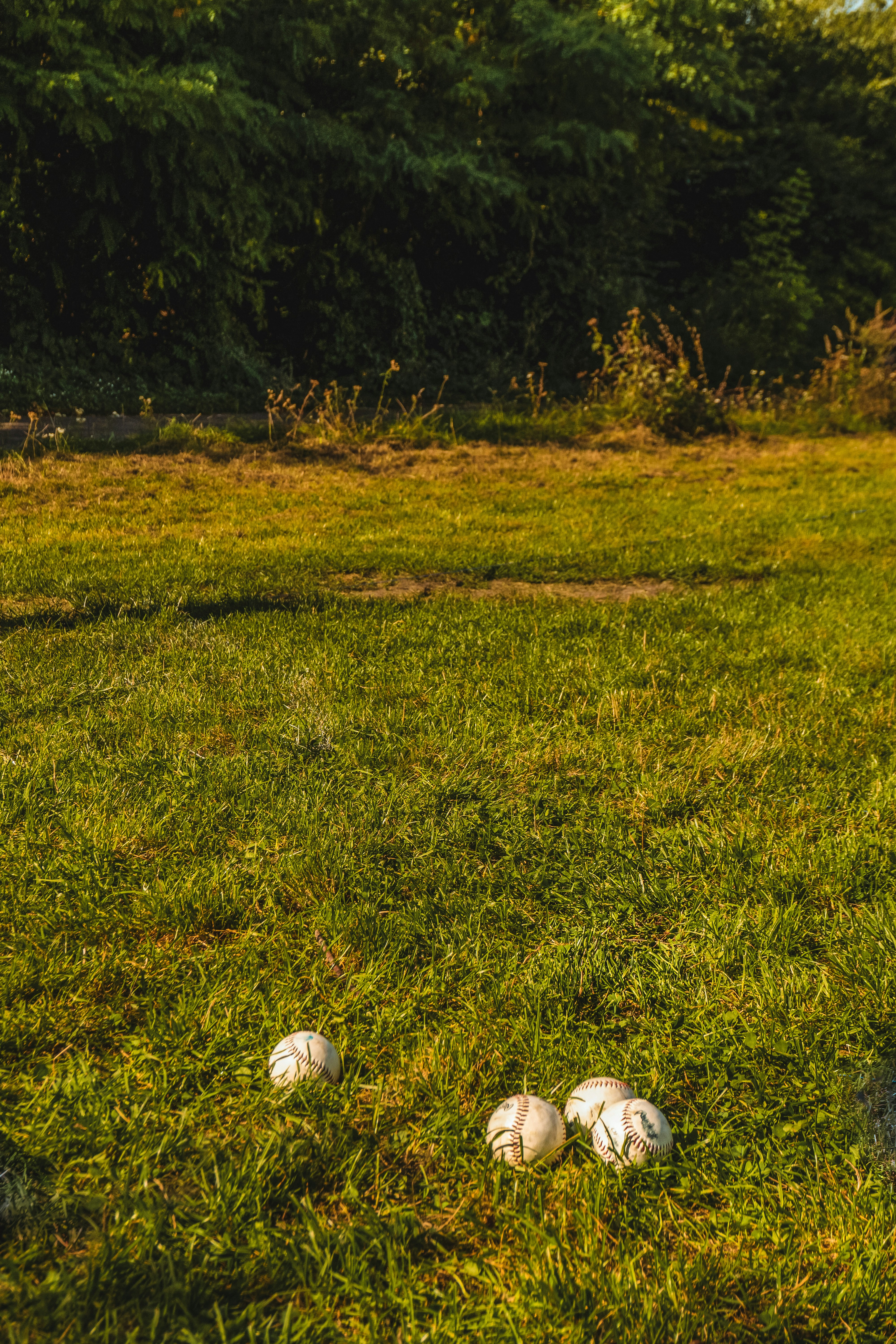 a group of baseballs sitting on top of a lush green field