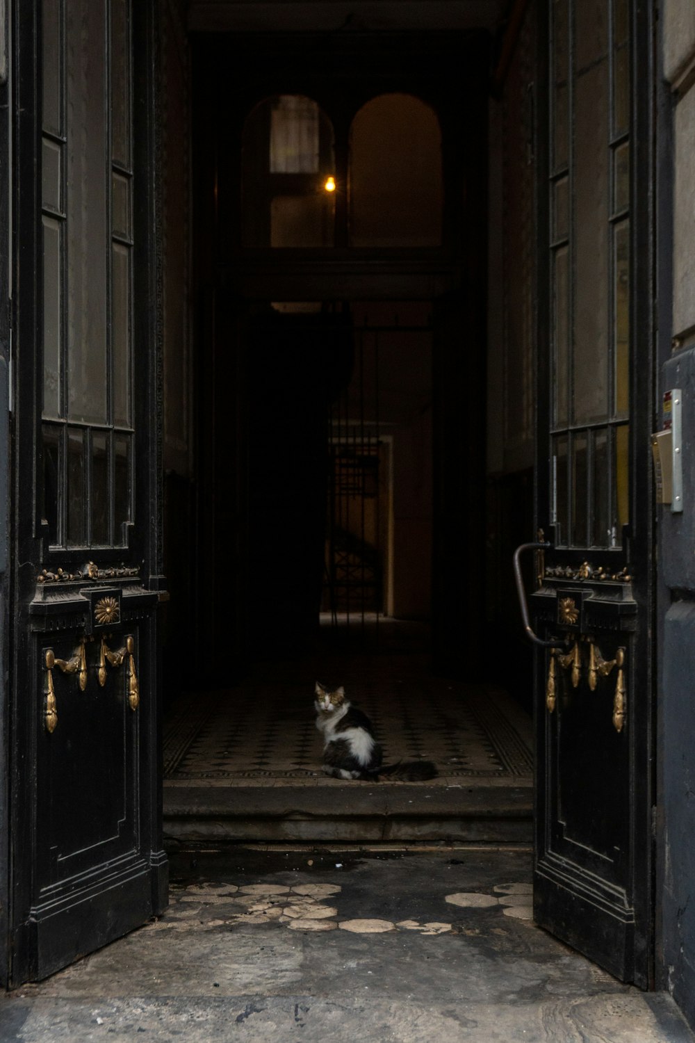 a cat sitting in the doorway of a building