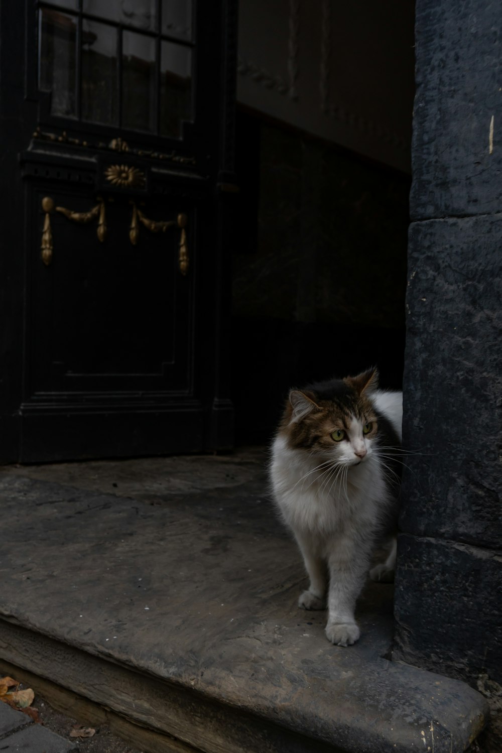 a cat standing on a step in front of a door