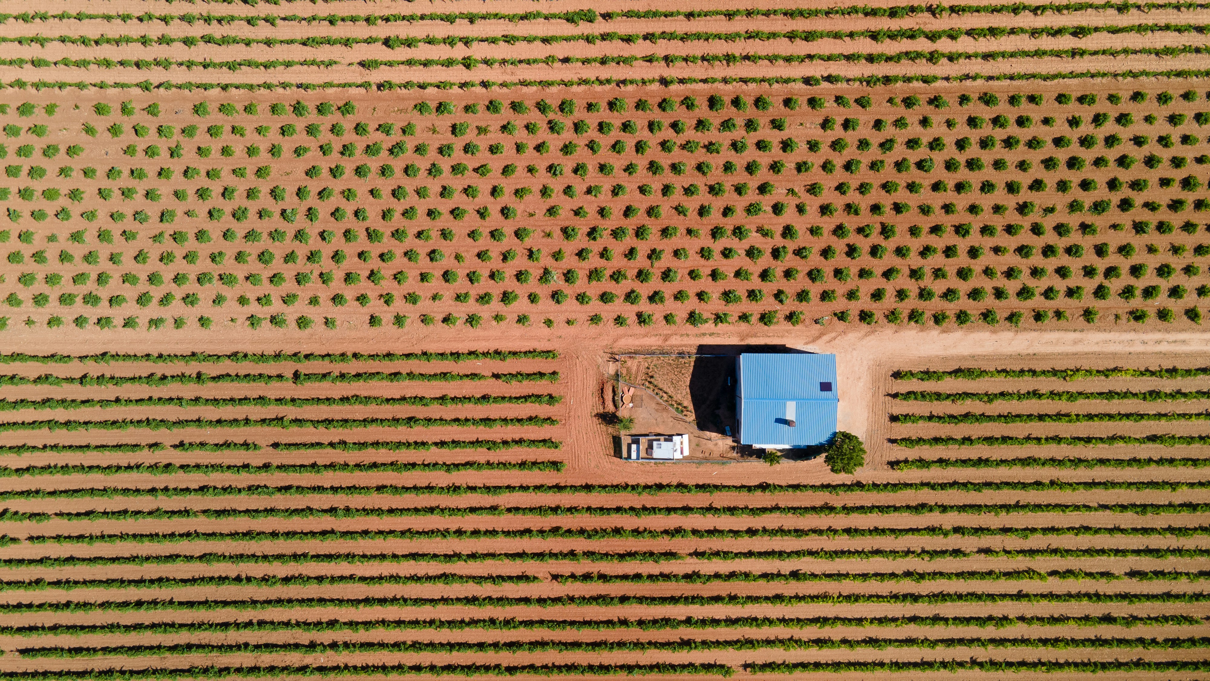 Aerial farm field with tractor