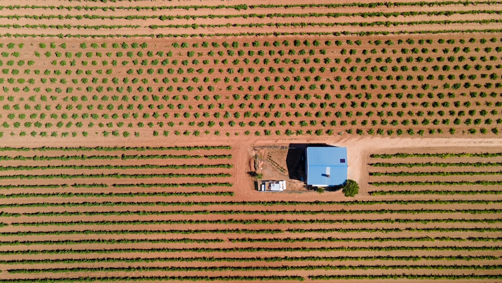 an aerial view of a farm field with a tractor