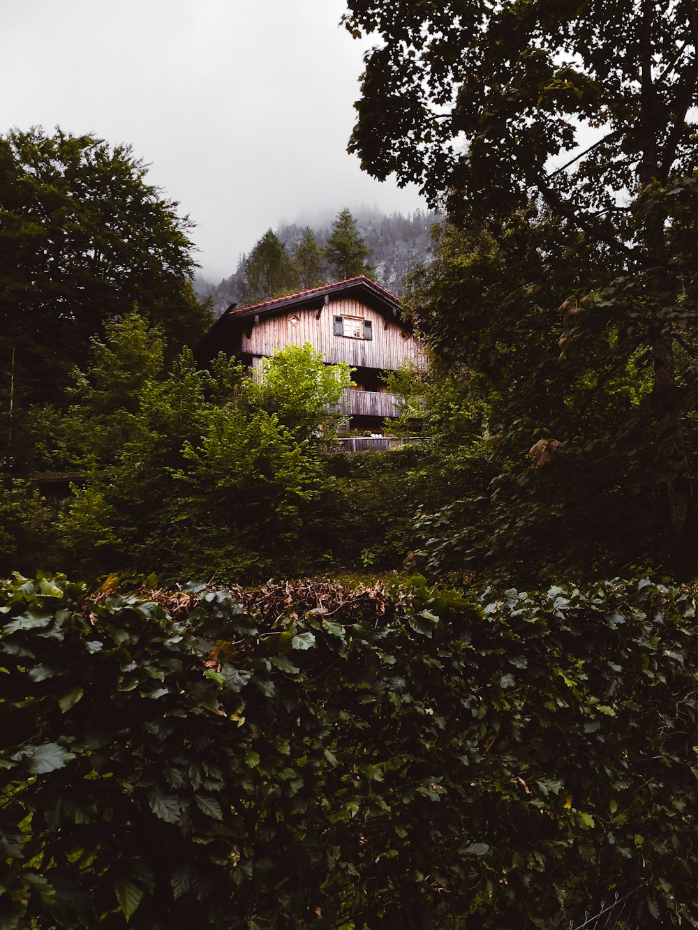 a house surrounded by trees and bushes on a cloudy day